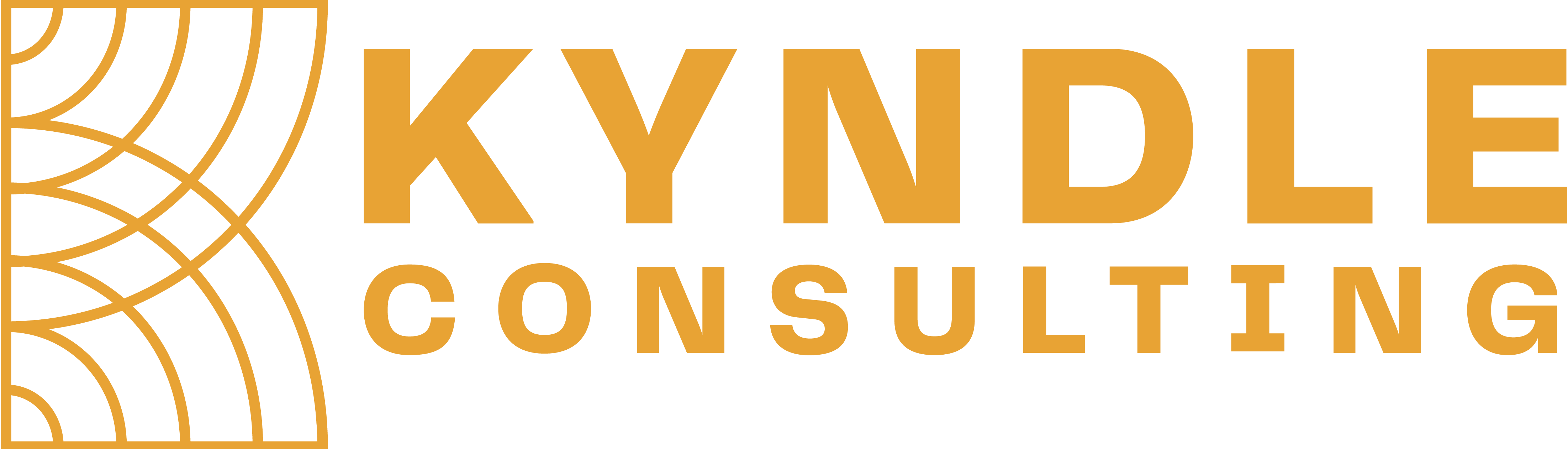 KYNDLE CONSULTING